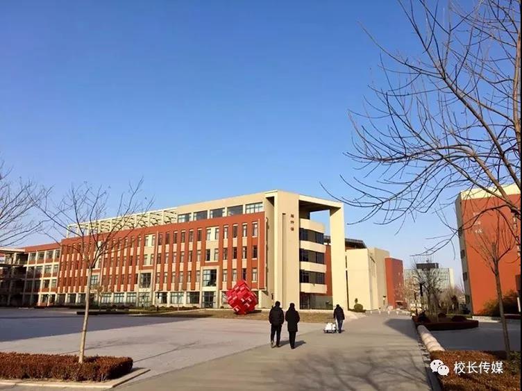 咔嚓崔老师2018总结：成不了葱，装蒜也不行！