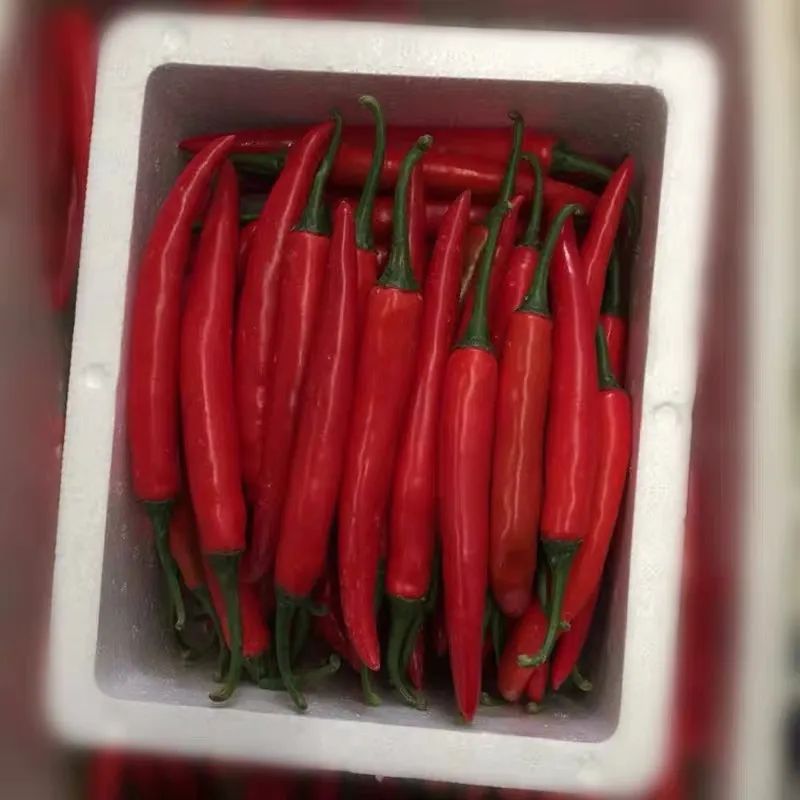 厨房杀虫去异味,自制万能杀虫水浇花杀菌