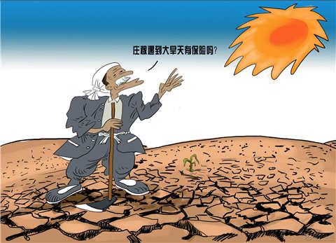 倒春寒对农产品期货的影响,高温对什么期货农产品影响最大