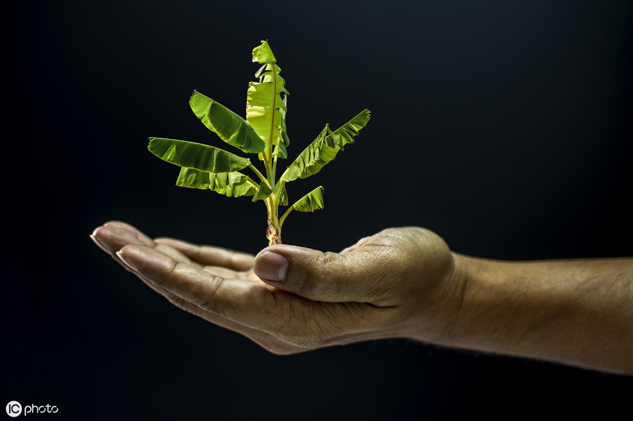 去“傲”之心,“谦”之礼