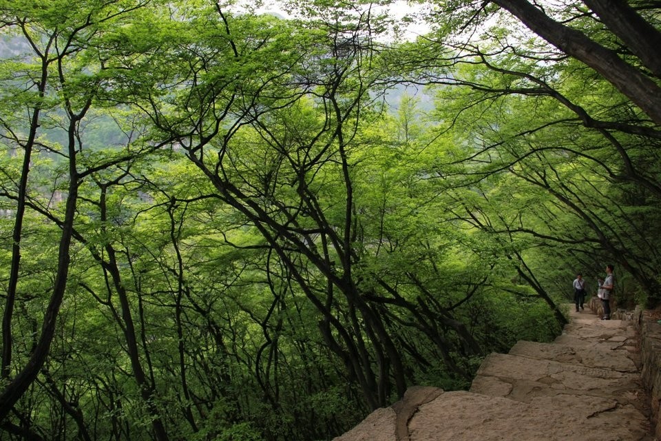 情路弯弯情歌,情路弯弯粤语