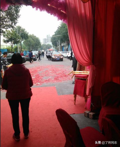 我家六只猫的自我介绍,我家六只猫视频