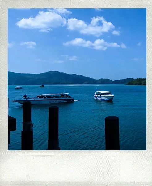 恋恋丽贝岛,人狗情未了|KohLipe