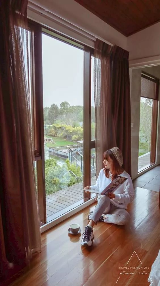 澳洲|春意堪培拉,看袋鼠、品酒、赏花、住进动物的家