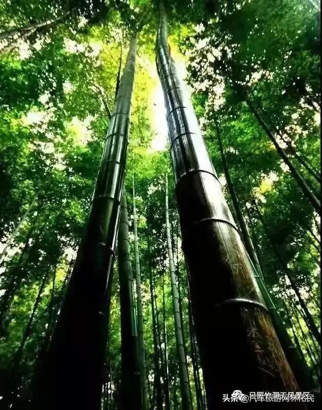 日照海边休闲一日游,99元日照竹洞天万平口一日游