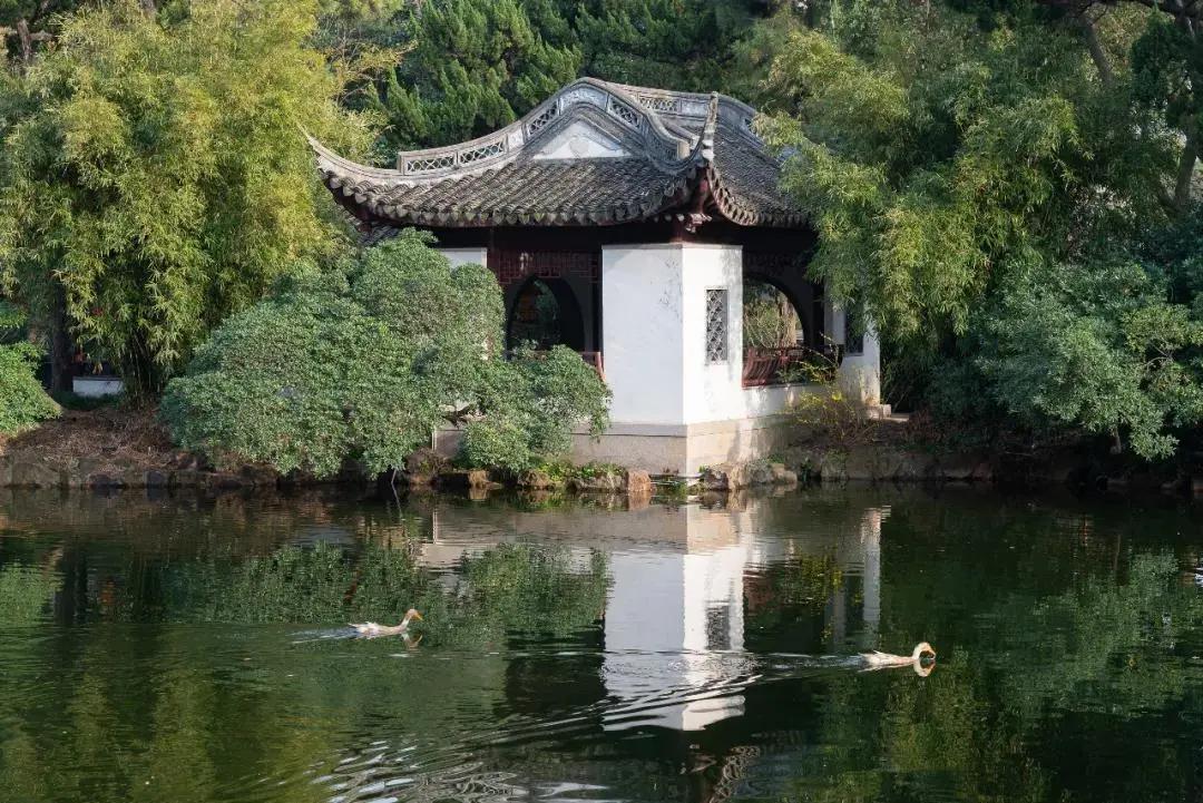 适合拍的古风景点,上海最值得拍照十条街