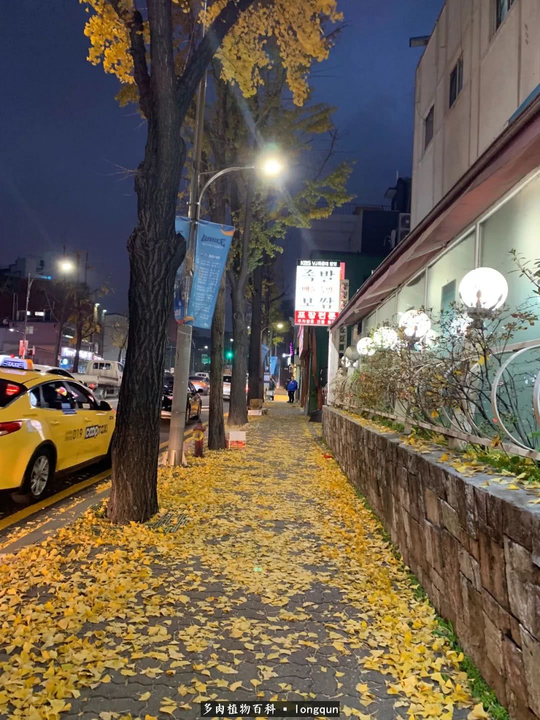 探访韩国肉锥大棚,记一次走访纪录片