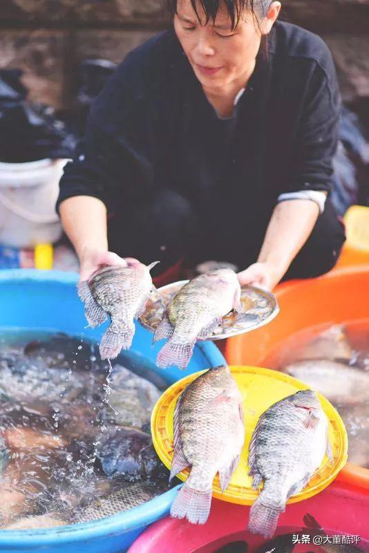 官园早市口碑怎么样,官园早市一览表