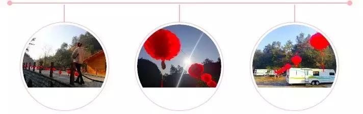 金家湾生态露营公园在哪里,金家湾风景区露营