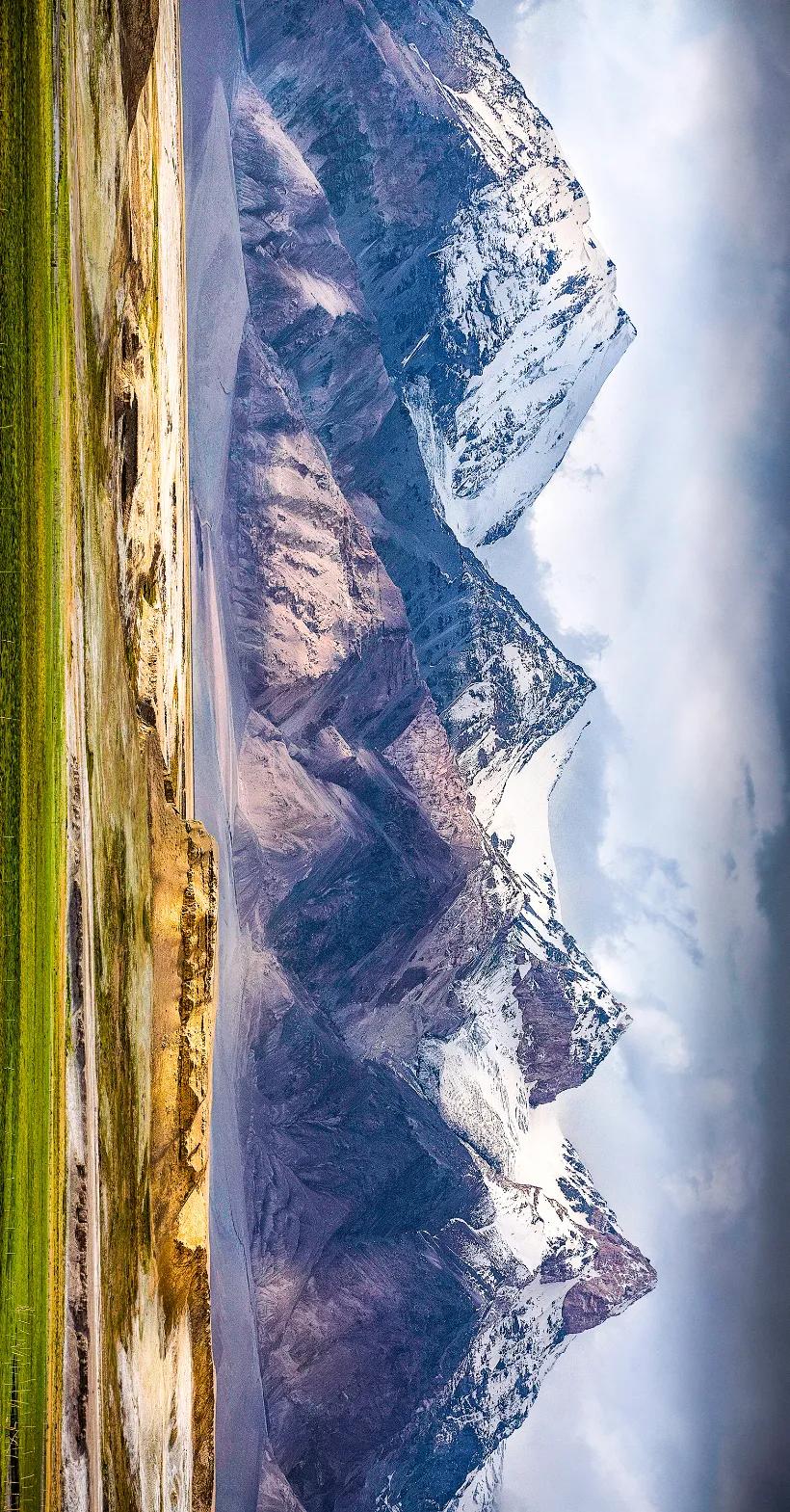 新疆塔里木大沙漠风景,除了沙漠树森林树还有什么