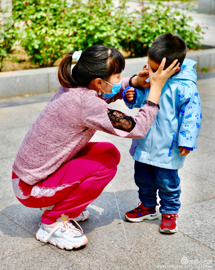 看洛阳牡丹花卉节,洛阳古都牡丹花展