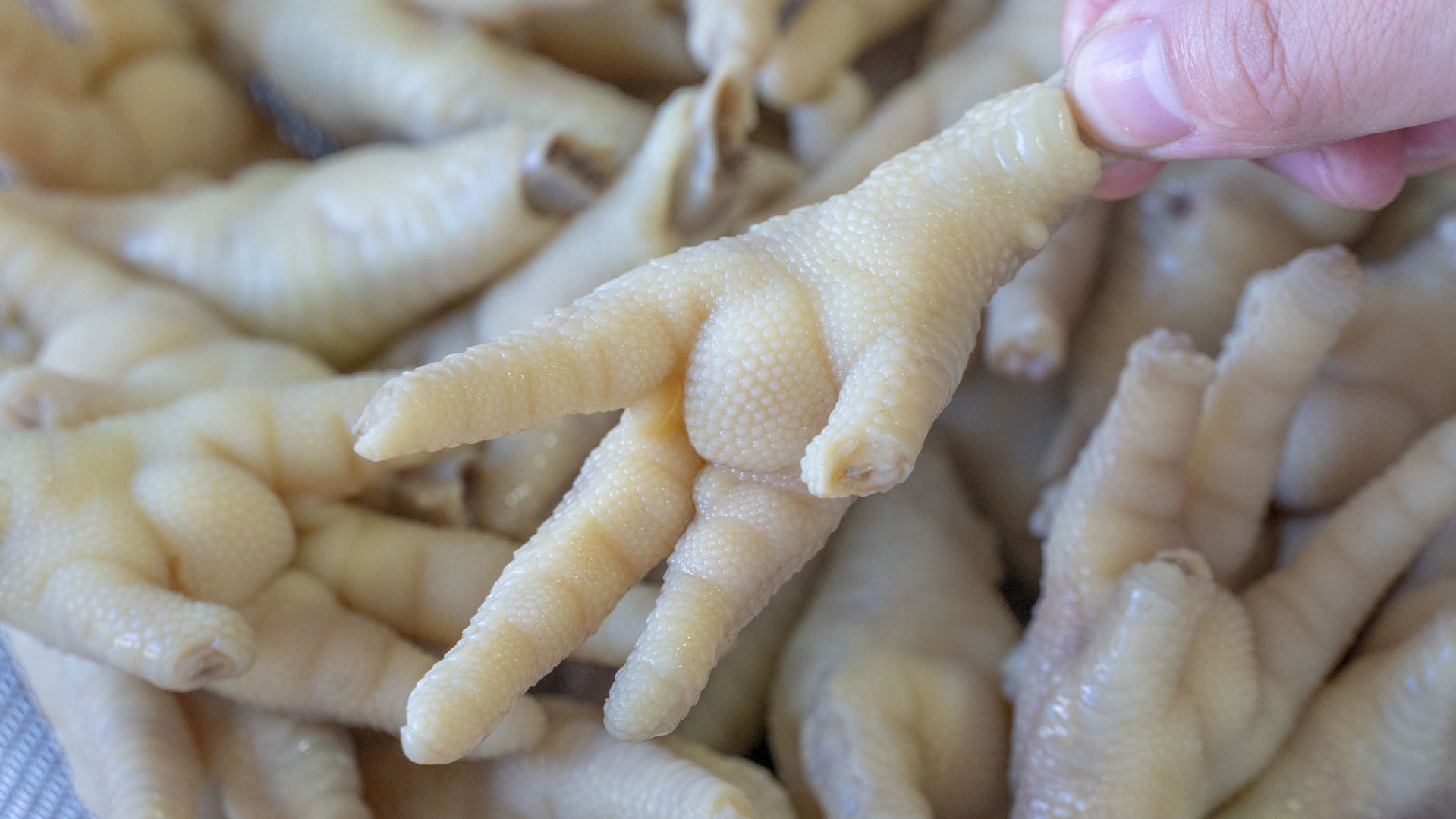 15分钟快速做好下班后的营养晚餐,每日家庭下班晚餐食谱