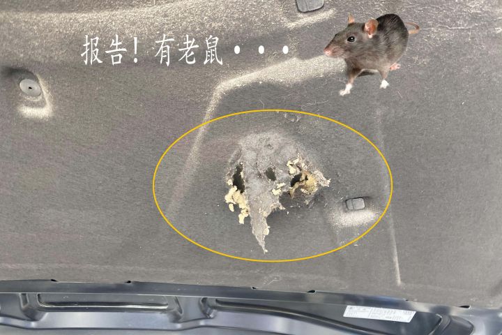 颠覆你认知的报价,这台敞篷奥迪A5有点狂,不!是卖家狂