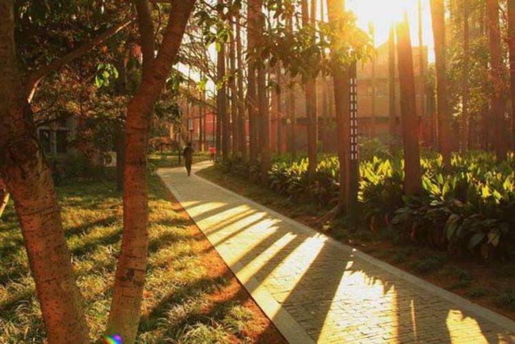 走进上海中科院,上海理工大学历史