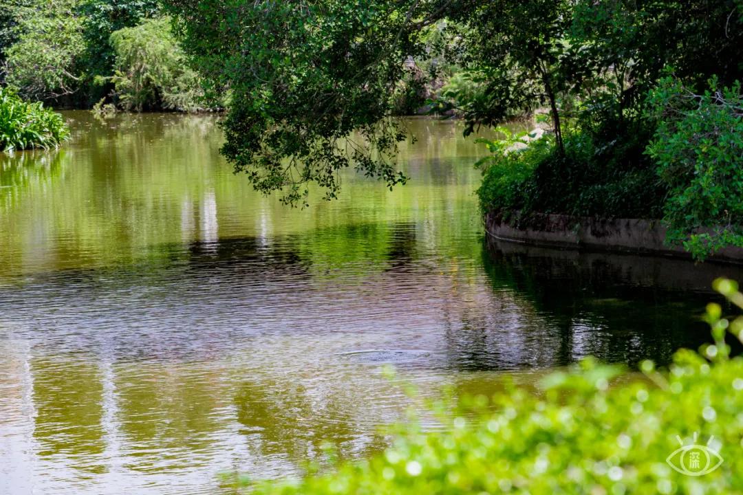 重庆轨道3号线,贵阳地铁3号线