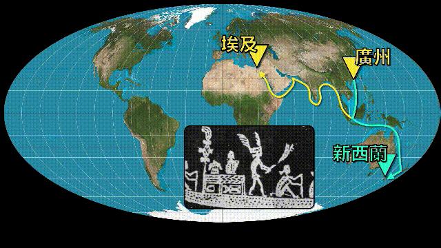 全世界的柠檬都读Lemon?这背后有一个刻在8号染色体上的上古故事