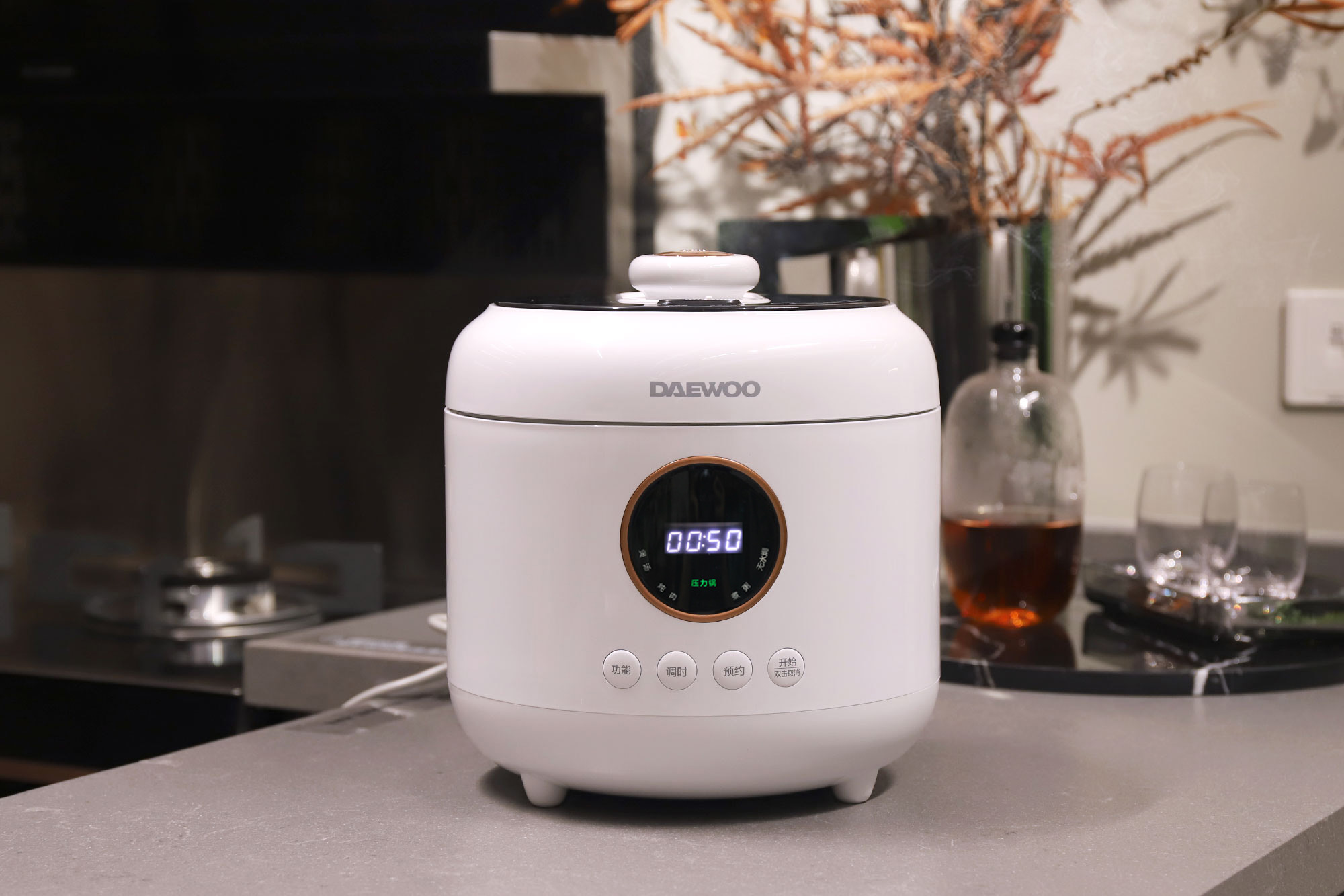 大宇电压力锅炖肉哪个键最好,大宇电压力锅做饭和炖肉不串味吗