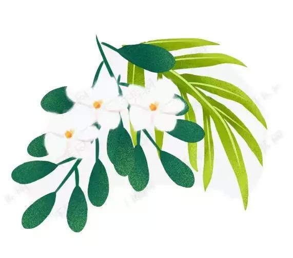 旅行海洋城市,旅行巴彦淖尔