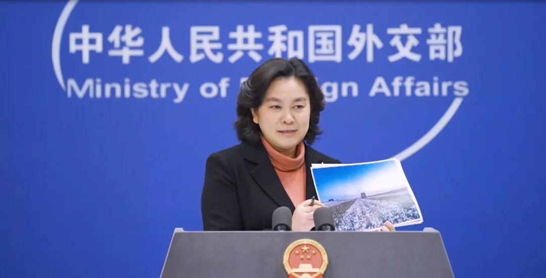 我为什么希望HM们不要怂？