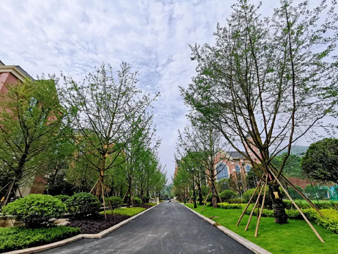 鎷╂牎鍒嗕韩,鎷╂牎缁忛獙鍒嗕韩