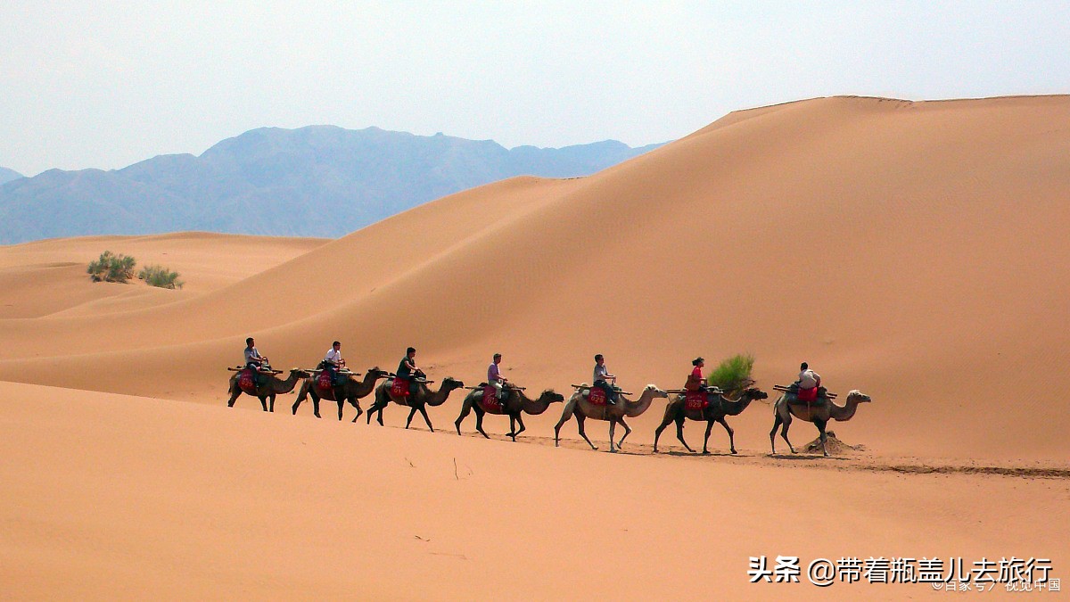 兰州一日游大学生,兰州大学榆中一日游