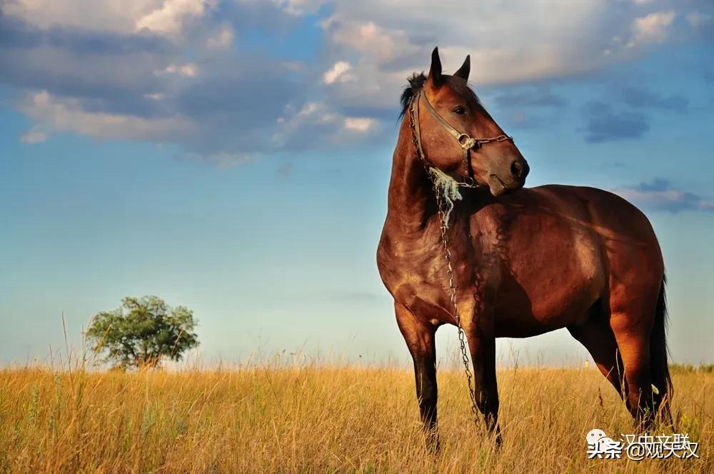 李汉荣美文100幅,作家李汉荣的散文