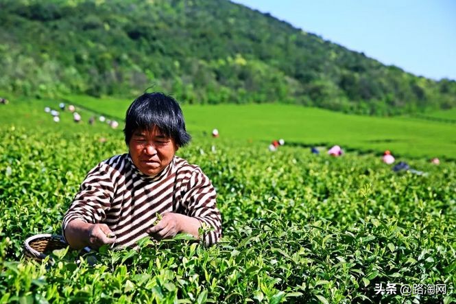 五一小长假结束再看一波各地美景,五一小长假去哪登山踏青看花好