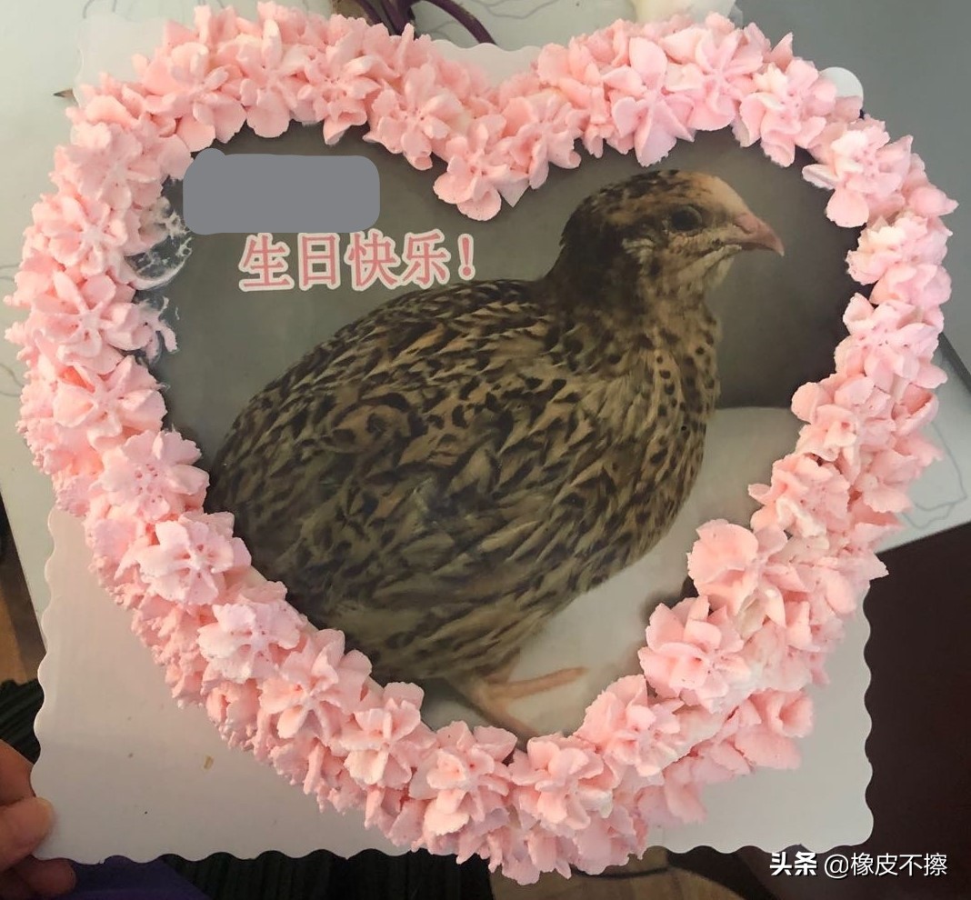 生而为妈，一个小学生的生日蛋糕能有多尬