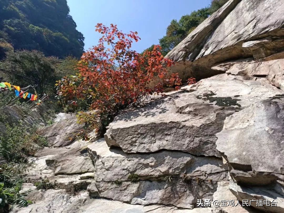 大美陕西秦岭,大美陕西秦岭美景