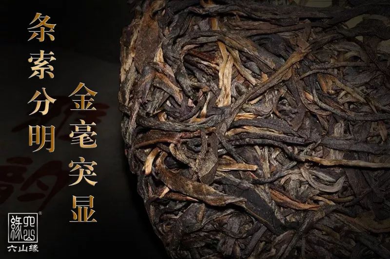 雅而不薄、清而不淡之一一雅韵