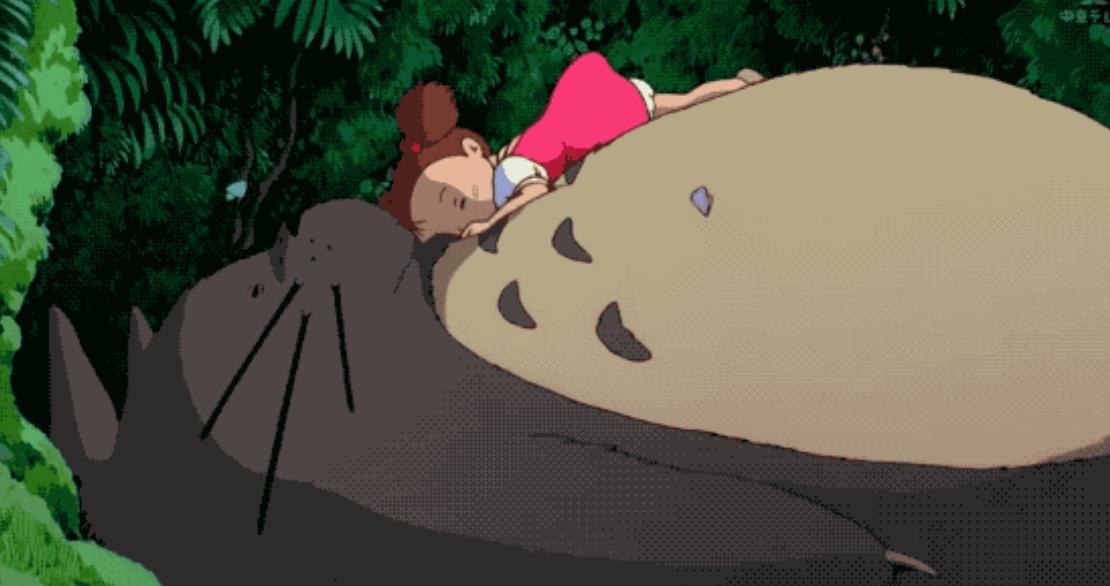 龙猫动画片深度解析,龙猫动漫是什么时候出来的