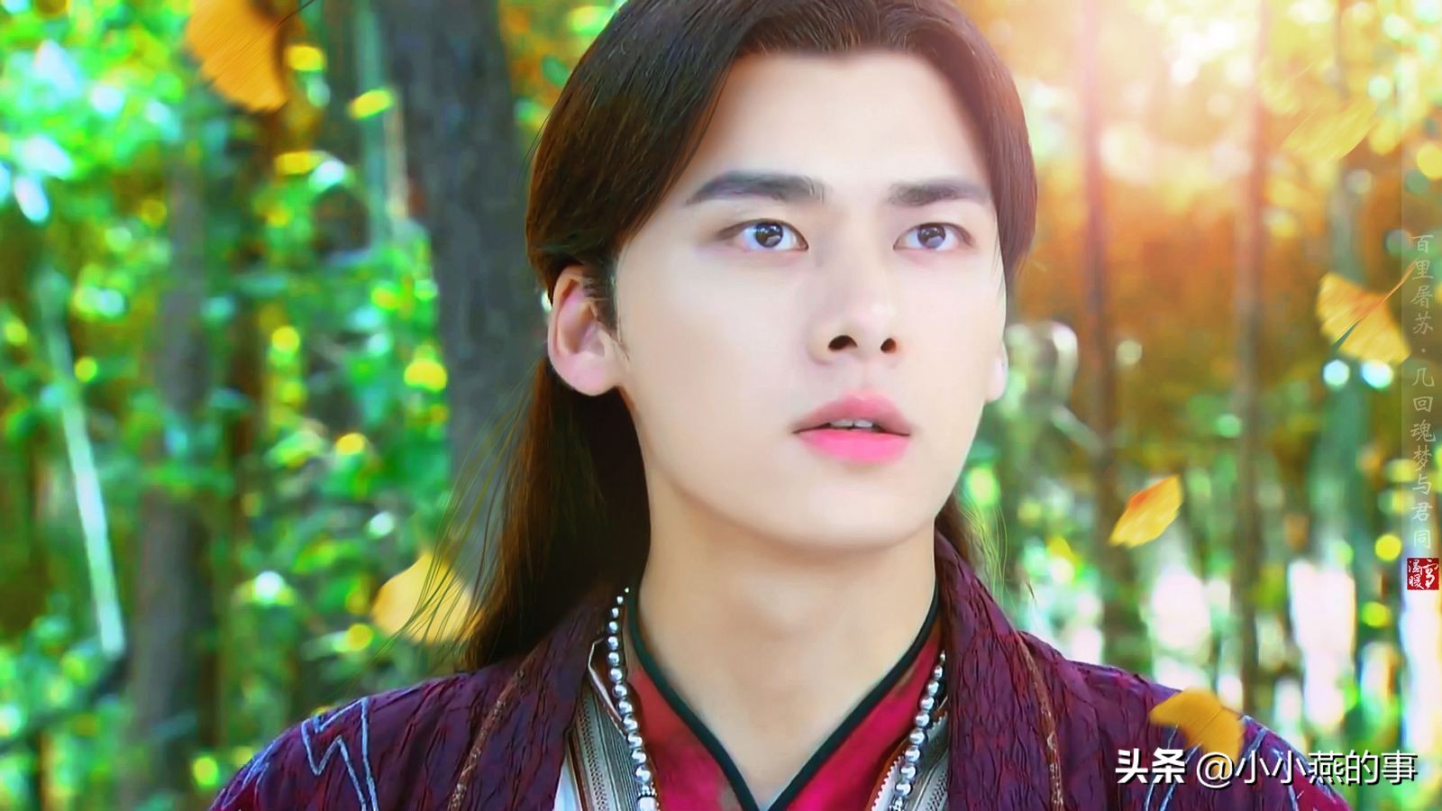 四川帅哥多吗全国有多少,四川十大男明星帅哥