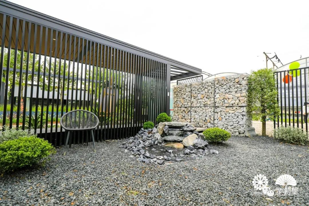 鑺卞洯鐩涘涔愯嚦,鑺卞洯鐩涘瀹屾暣