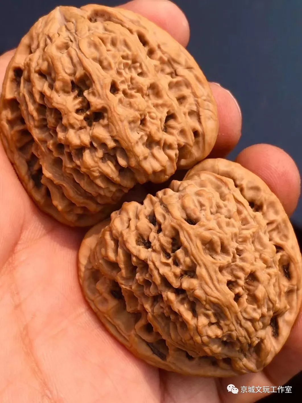 文玩核桃都是哪个地方的,你知道核桃原本是什么样的吗