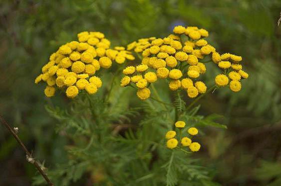 个案研习社|湿疹瘙痒难耐，“对症下药”是关键