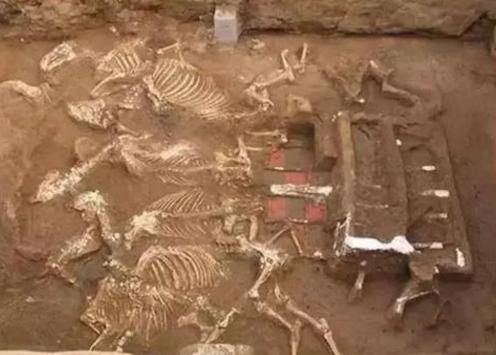 芈月墓惊现陕西奇珍异宝数不胜数,探索发现骊山寻古考古芈月墓