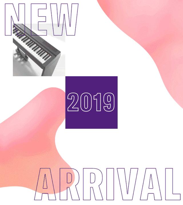 2019年雅马哈有何新动向,雅马哈新款乐器