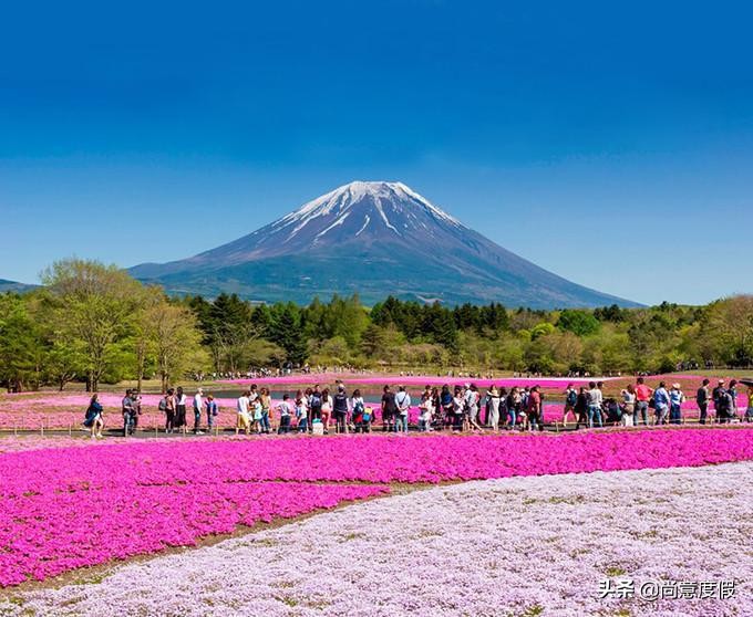 第一次去日本旅游好还是跟团好,第一次去日本跟团