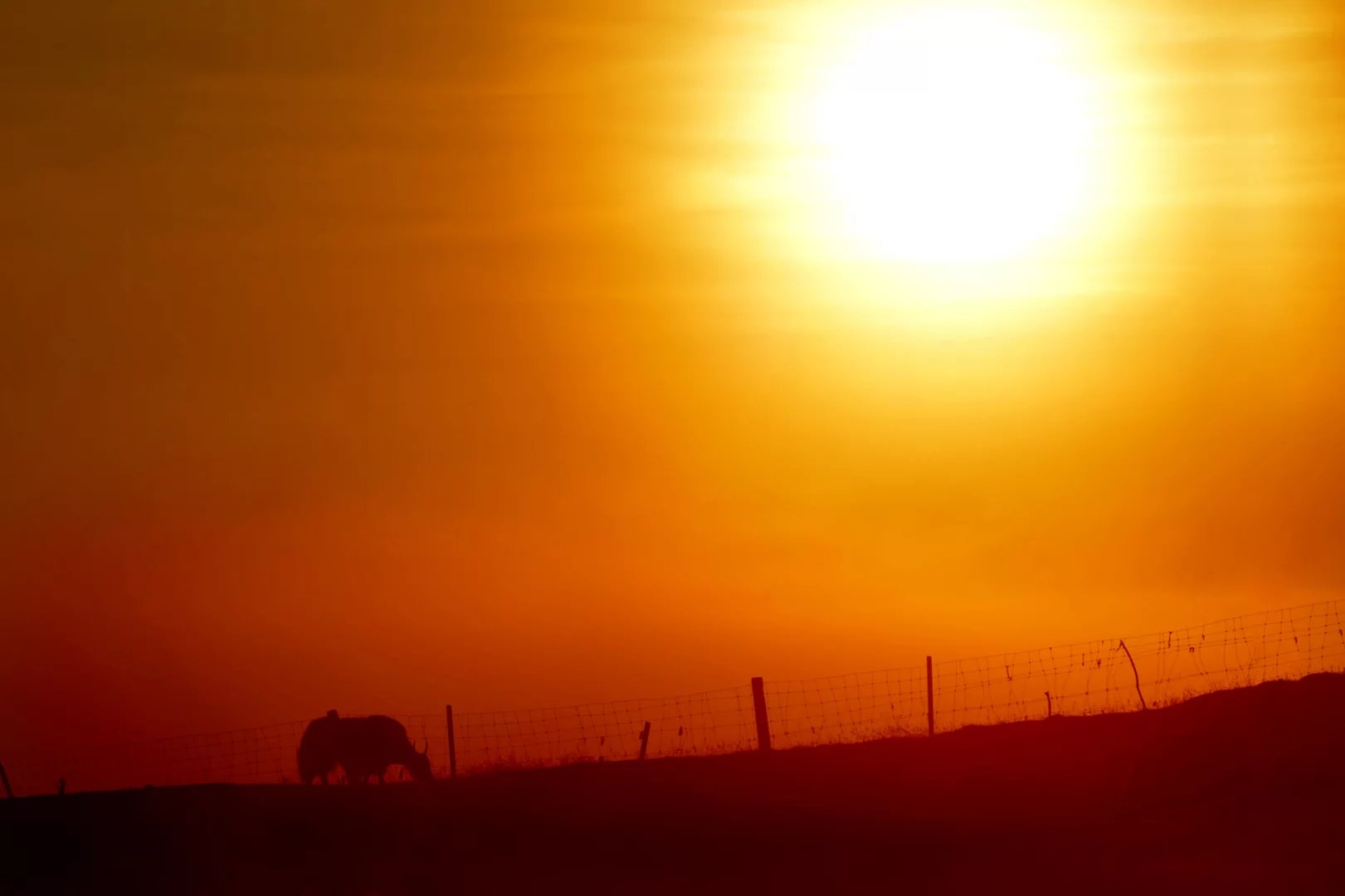 荣威350适合长途开吗,荣威350能开多长时间