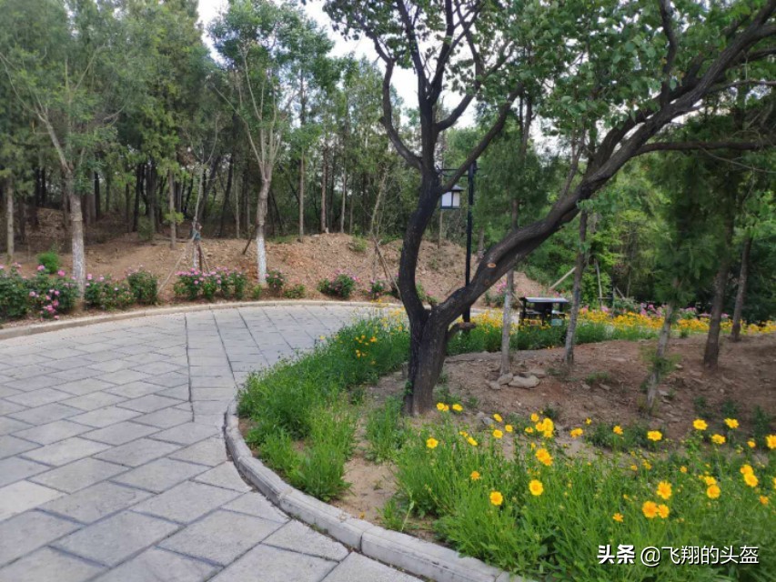 戒台寺郊野公园攻略,戒台寺郊野公园