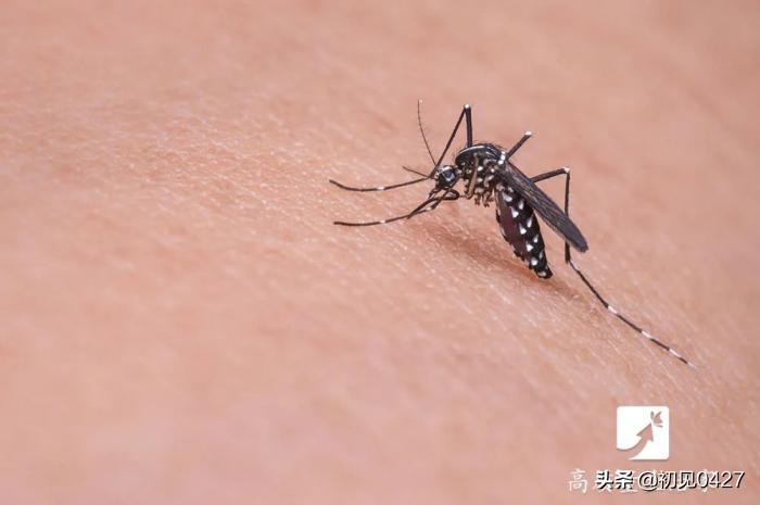 睡前脚上涂牙膏会怎么样,得了脚气用牙膏涂抹可以吗