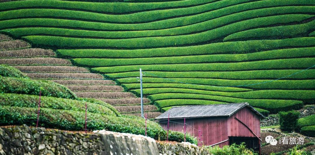 日本六日大阪和东京自由行,日本关西6日游攻略