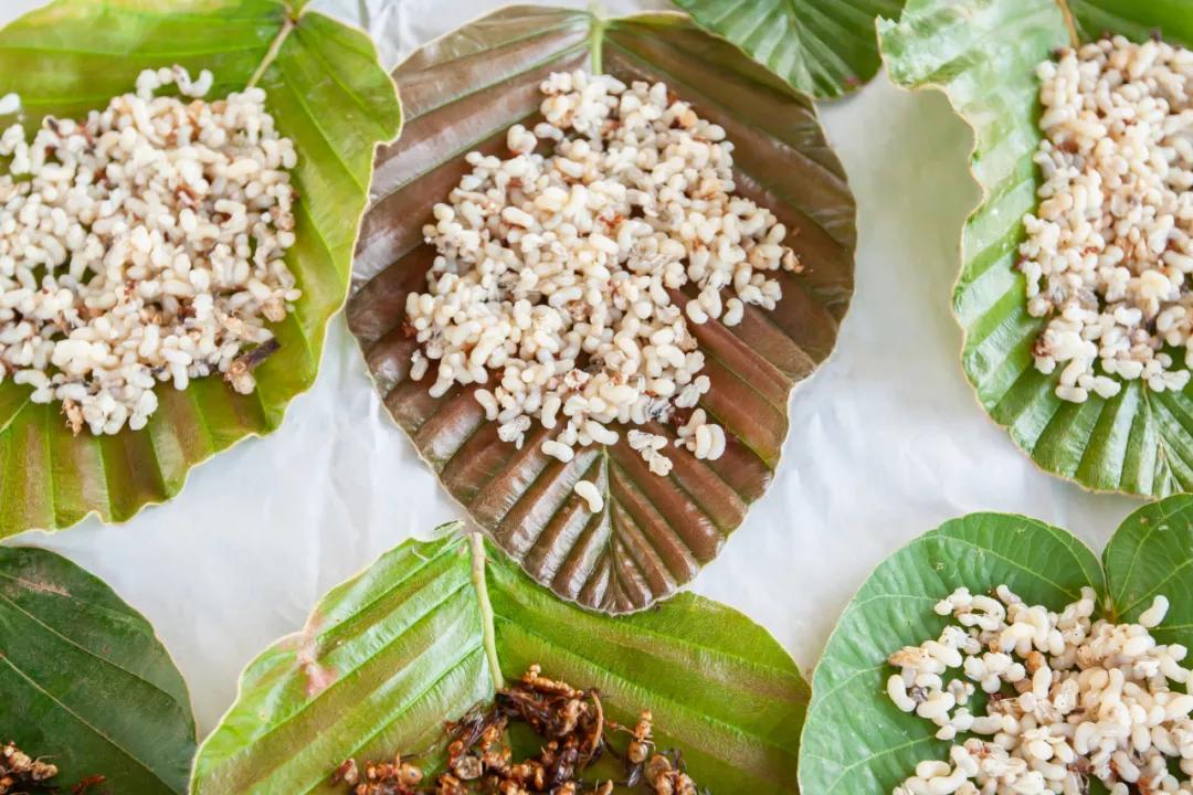 云南人有多能吃辣,云南人到底有多敢吃