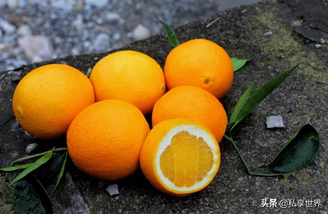 现在哪里的橙子最好吃,全国哪些地方的橙子好吃水分多