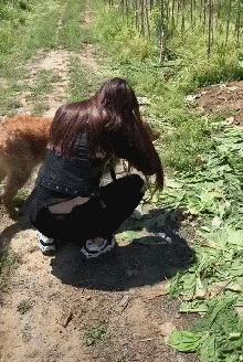 搞笑动图gif微信可爱表情包,搞笑动图gif图片微信