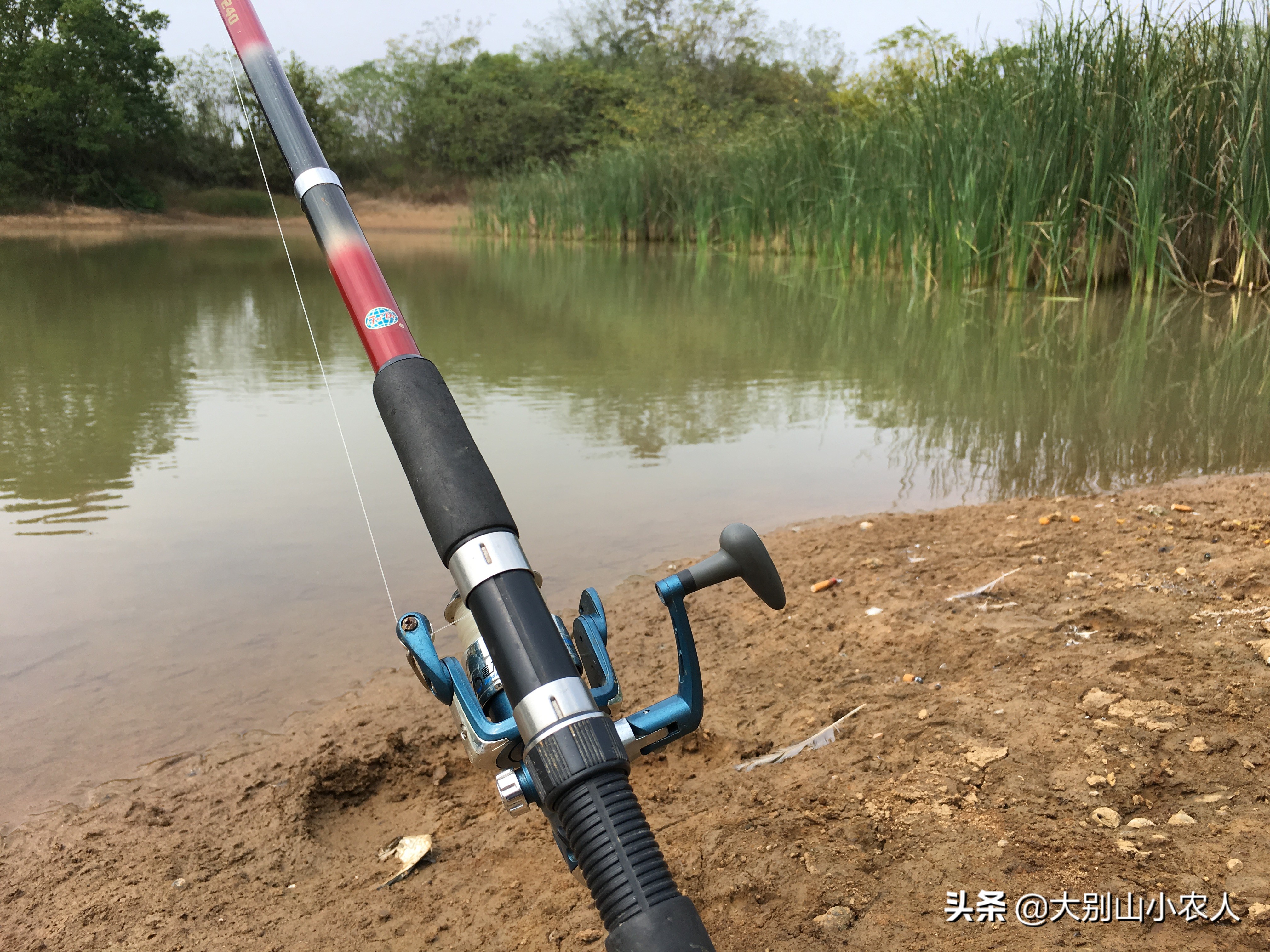 九九又重阳，串钩钓鱼忙。深度解析串钩钓法，让大板鲫带你一起飞