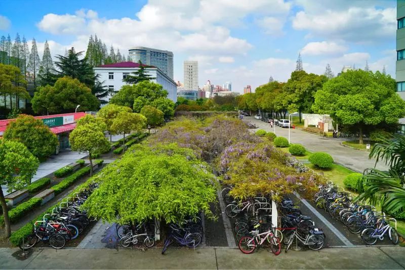 上财毕业生在上海的就业薪资,上财毕业上海薪水5万高吗