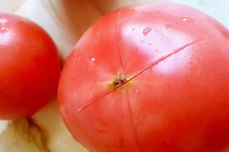 西红柿烤箱做法,西红柿可以用烤箱烤吗