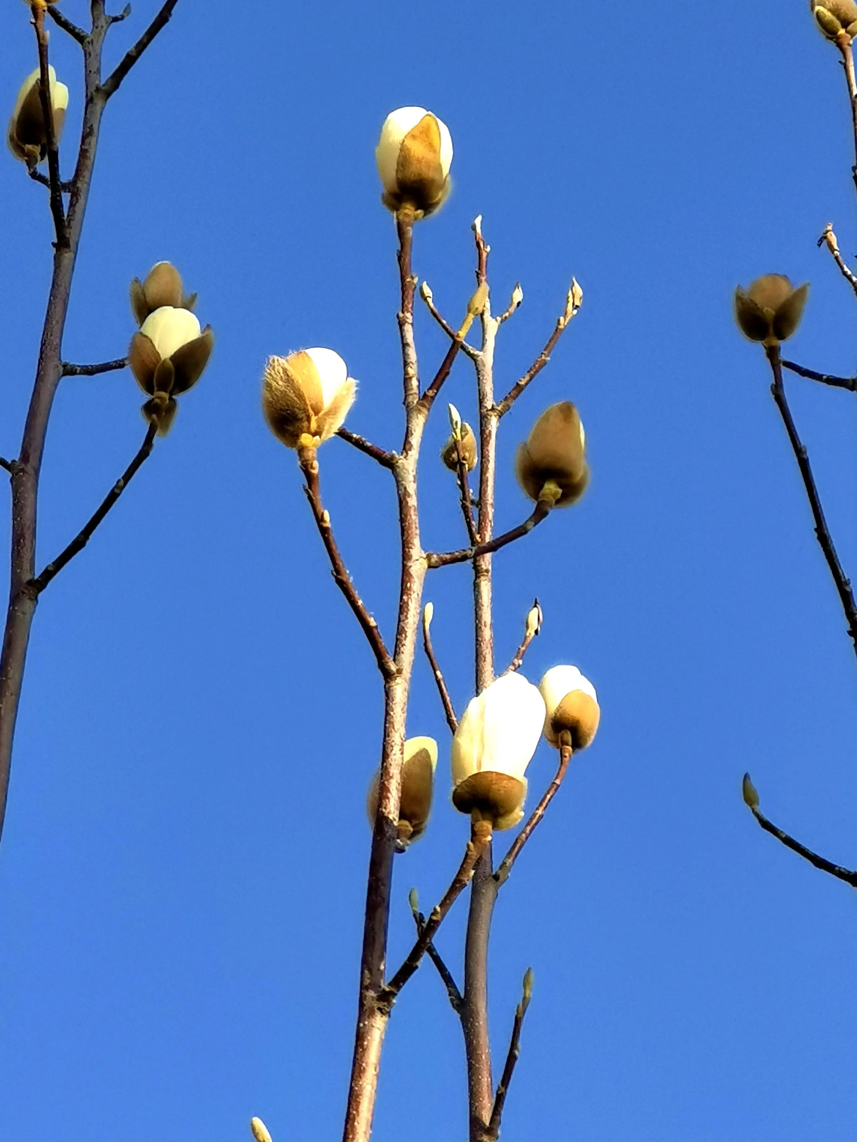 *访上**不当也会违法的（详解）