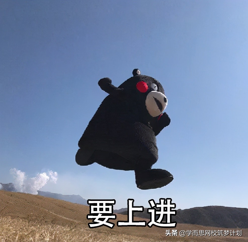 数竞该不该学？怎么学？国集学长做了这些总结，含书单推荐